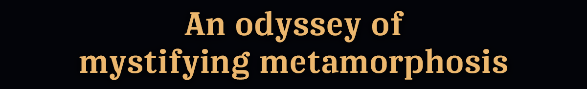 An odyssey of mystifying metamorphosis